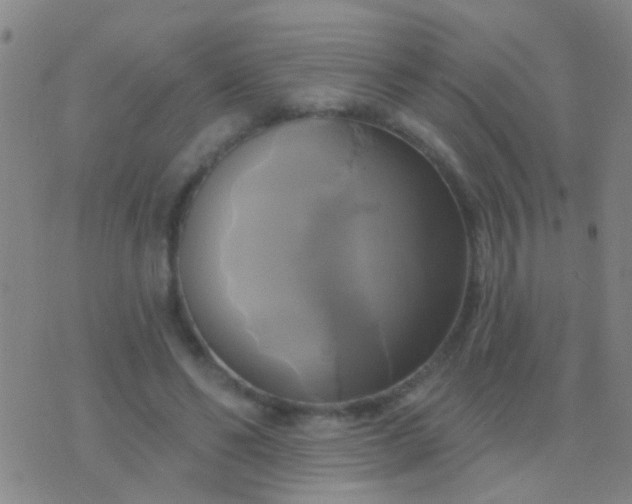 X0000076380494200610202043