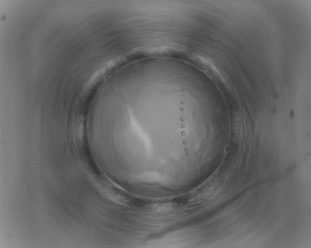 X0000076380495200610202043