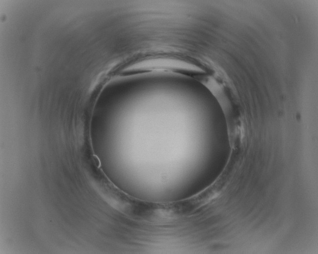 X0000076380496200610202043