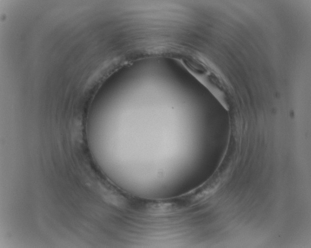 X0000076380497200610202043