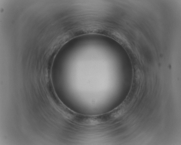 X0000076380498200610202043