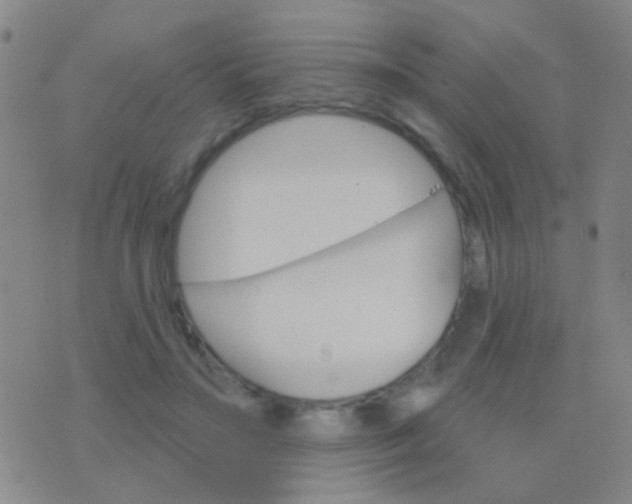 X0000076380499200610202043