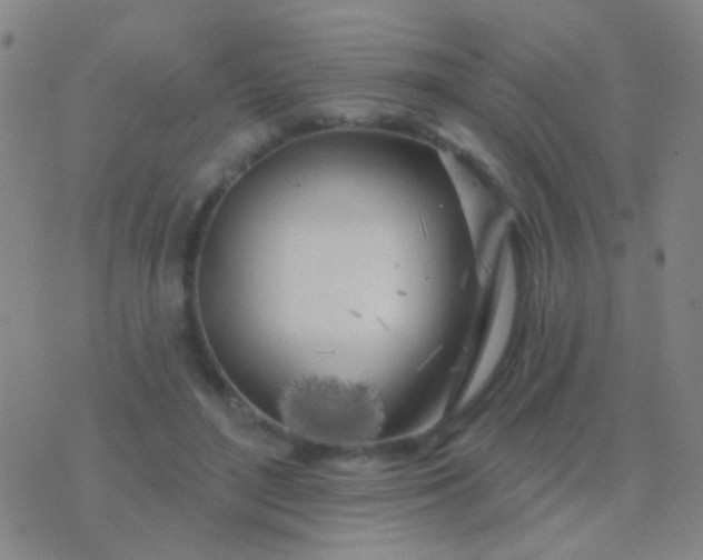 X0000076380500200610202043