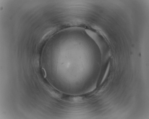 X0000076380501200610202043