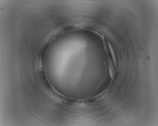 X0000076380502200610202043