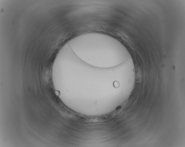 X0000076380503200610202043