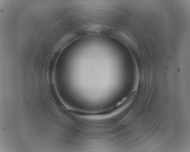 X0000076380504200610202043