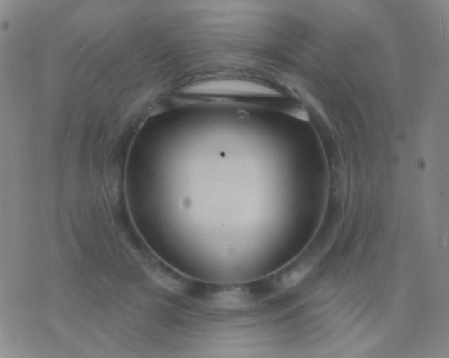 X0000076380505200610202043