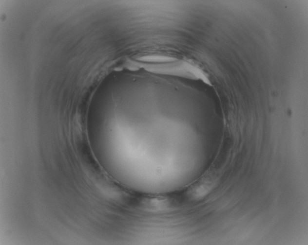 X0000076380506200610202043