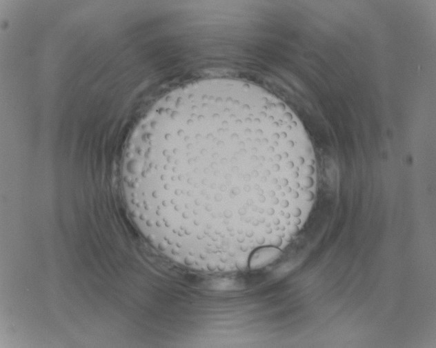 X0000076380507200610202043