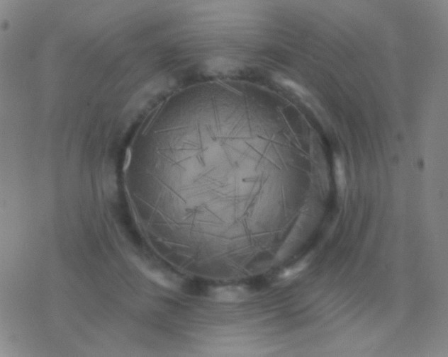 X0000076380508200610202043