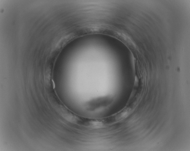 X0000076380509200610202043