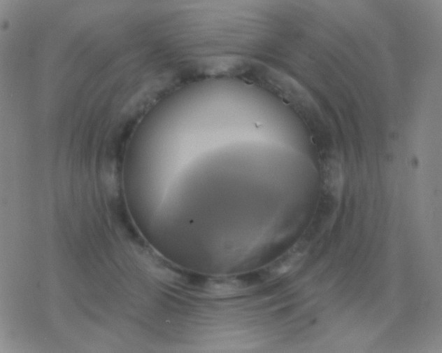 X0000076380510200610202043