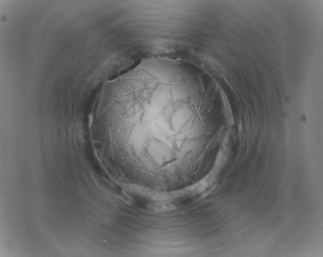 X0000076380512200610202042