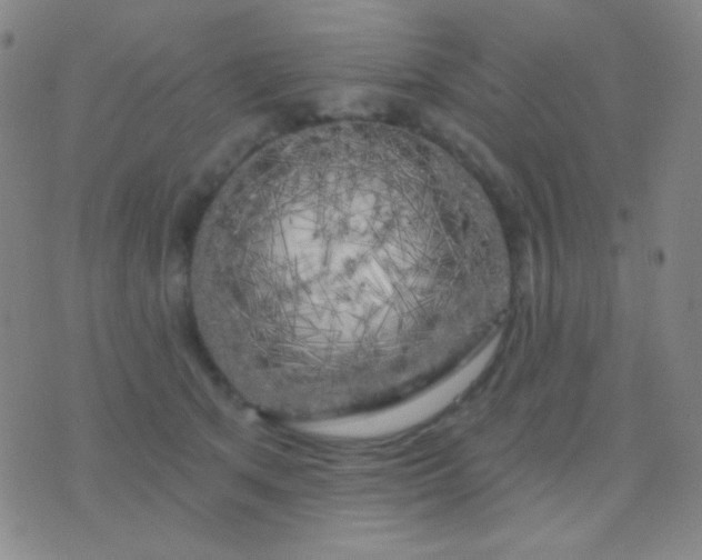 X0000076380513200610202042