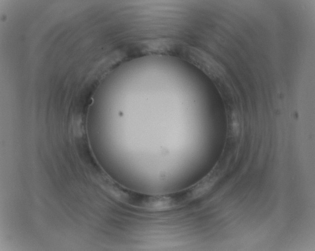 X0000076380514200610202042