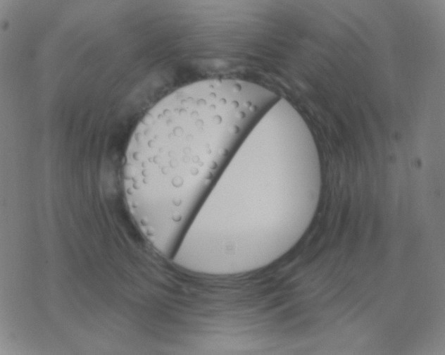 X0000076380515200610202042