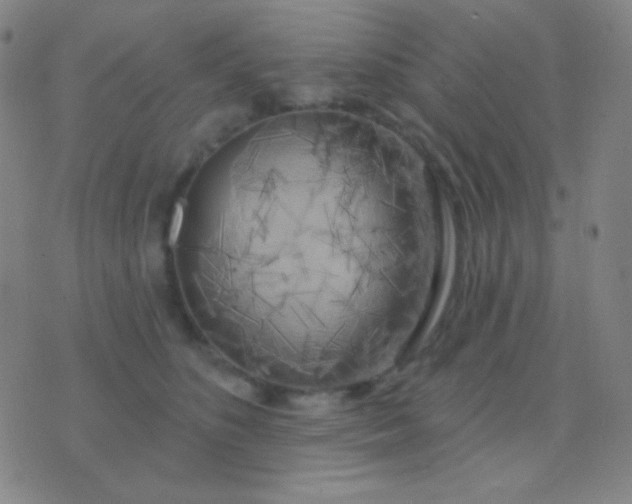 X0000076380516200610202042