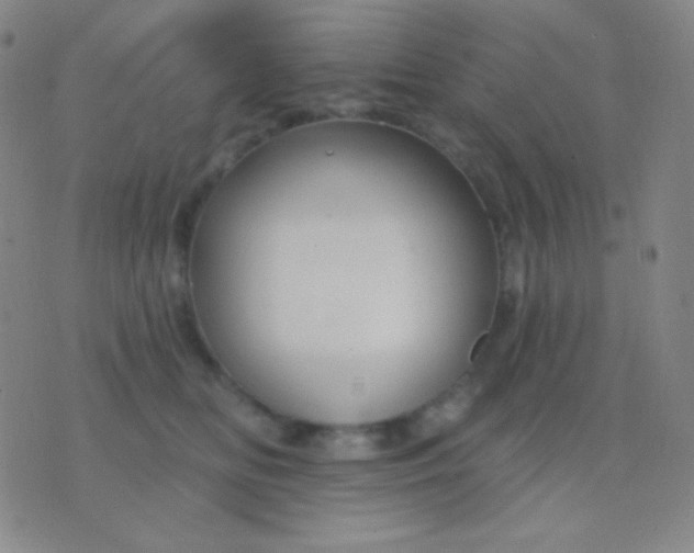 X0000076380518200610202042