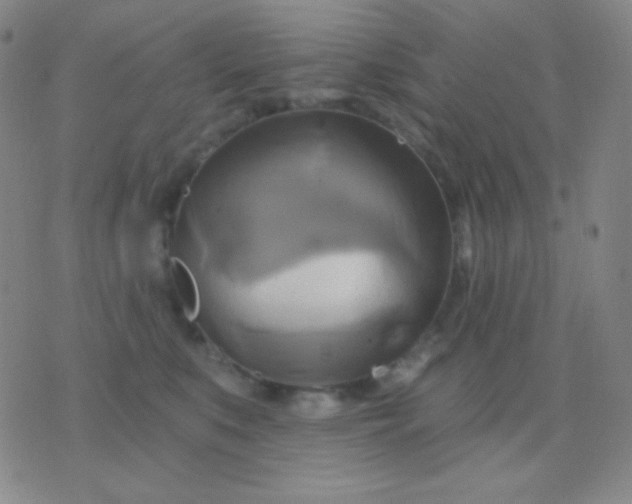 X0000076380519200610202042