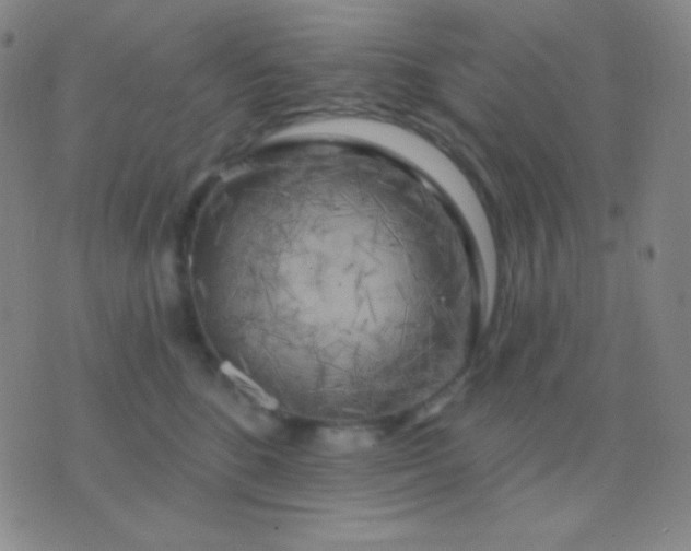 X0000076380520200610202042