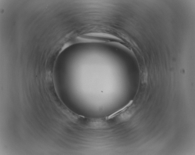 X0000076380521200610202042