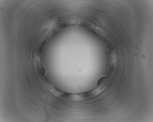 X0000076380522200610202042