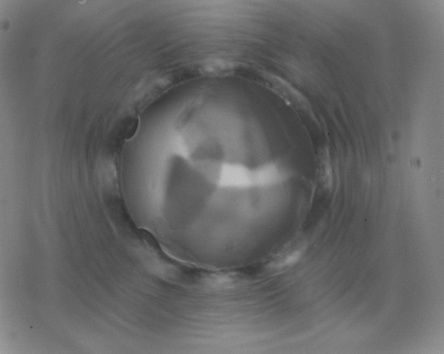 X0000076380523200610202042