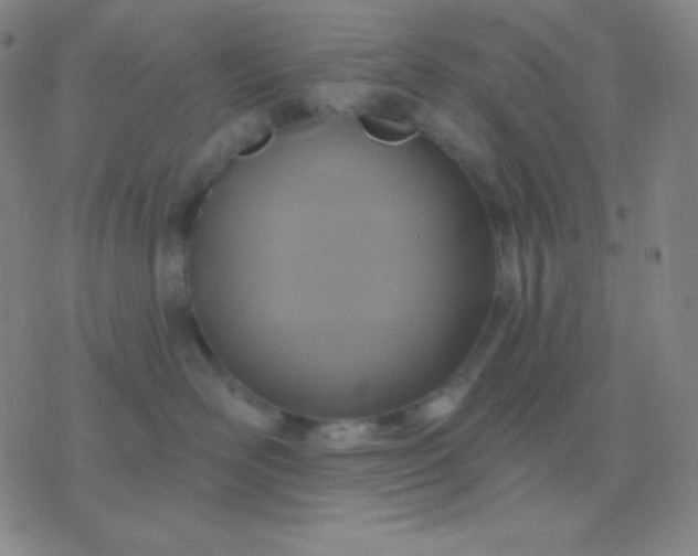 X0000076380526200610202042