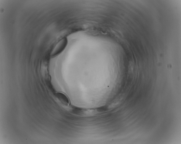 X0000076380527200610202042