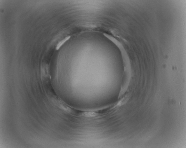 X0000076380528200610202042