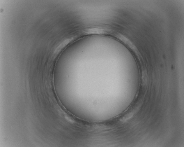 X0000076380529200610202041