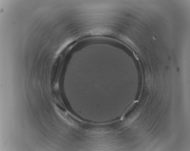 X0000076380530200610202041