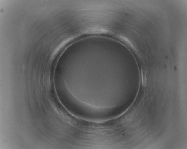 X0000076380531200610202041