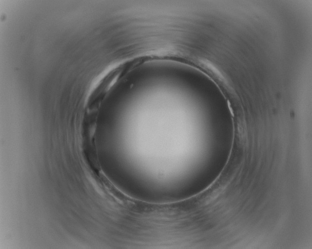 X0000076380532200610202041