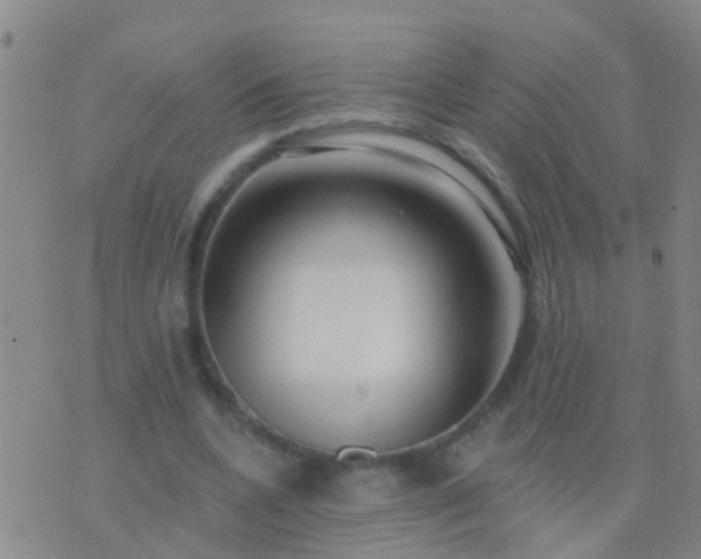 X0000076380536200610202042