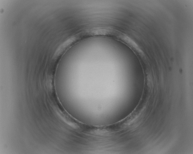 X0000076380537200610202042