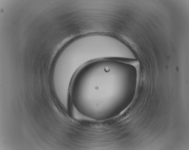 X0000076380540200610202042