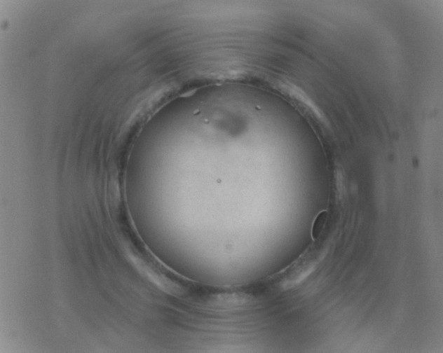 X0000076380541200610202042