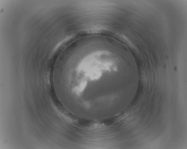 X0000076380543200610202042