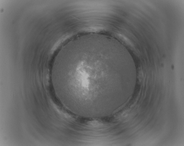 X0000076380544200610202042