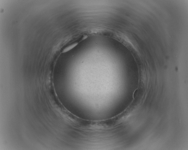 X0000076380545200610202042