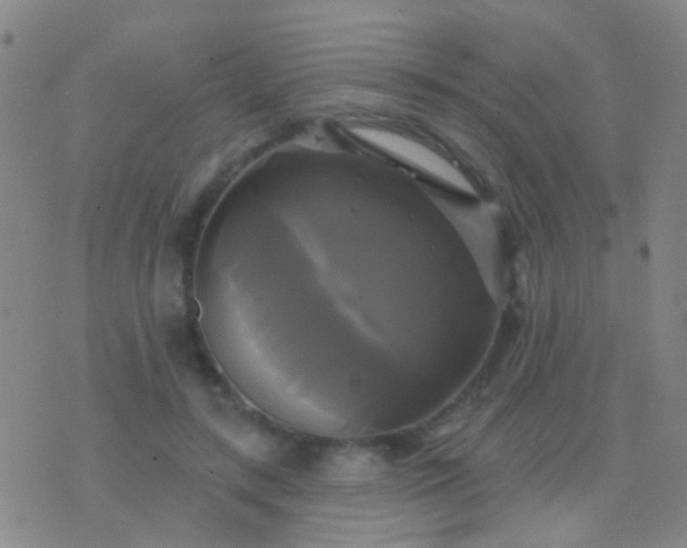 X0000076380547200610202042