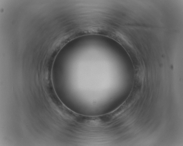 X0000076380548200610202042