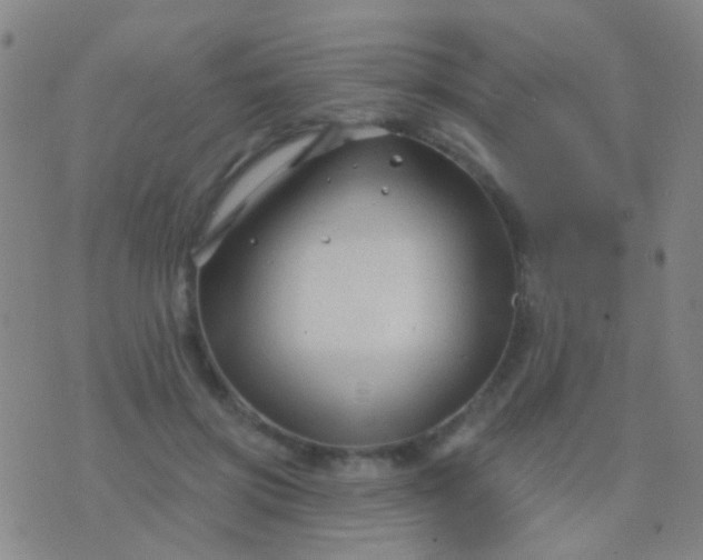 X0000076380549200610202042