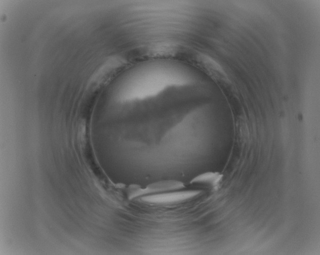 X0000076380550200610202042