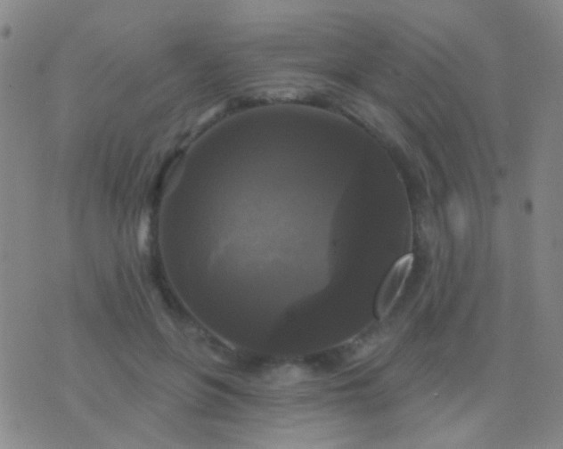 X0000076380551200610202042