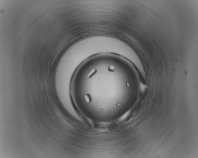 X0000076380552200610202042