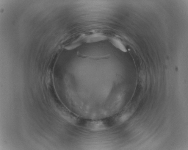 X0000076380554200610202042