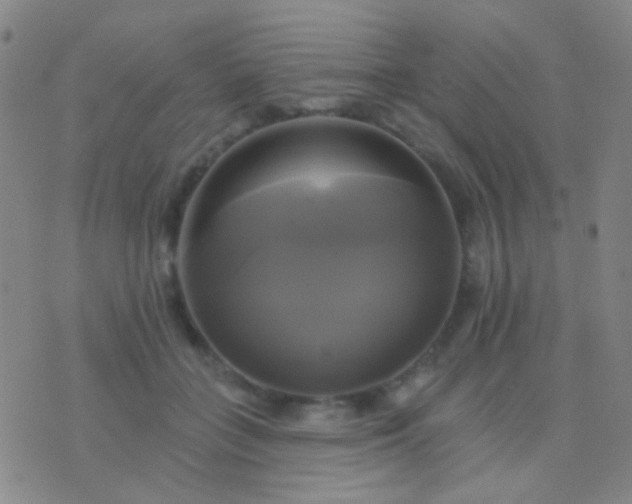 X0000076380555200610202042